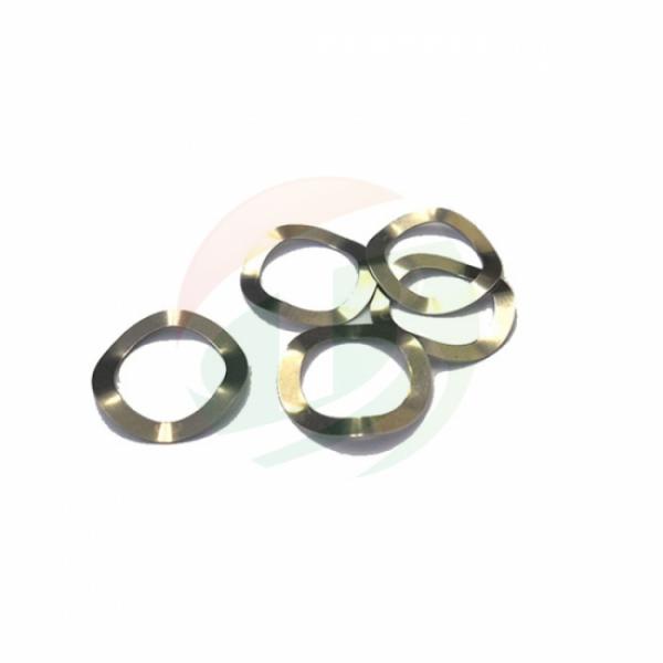 Button Cell Wave Spring(Belleville Washers) -316ss