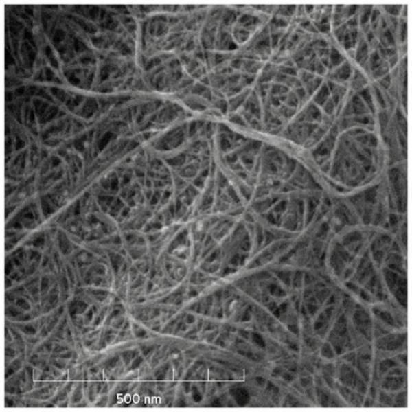 Single-Walled Carbon Nanotubes Suppliers